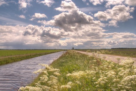 ©2013 Philip Lohues